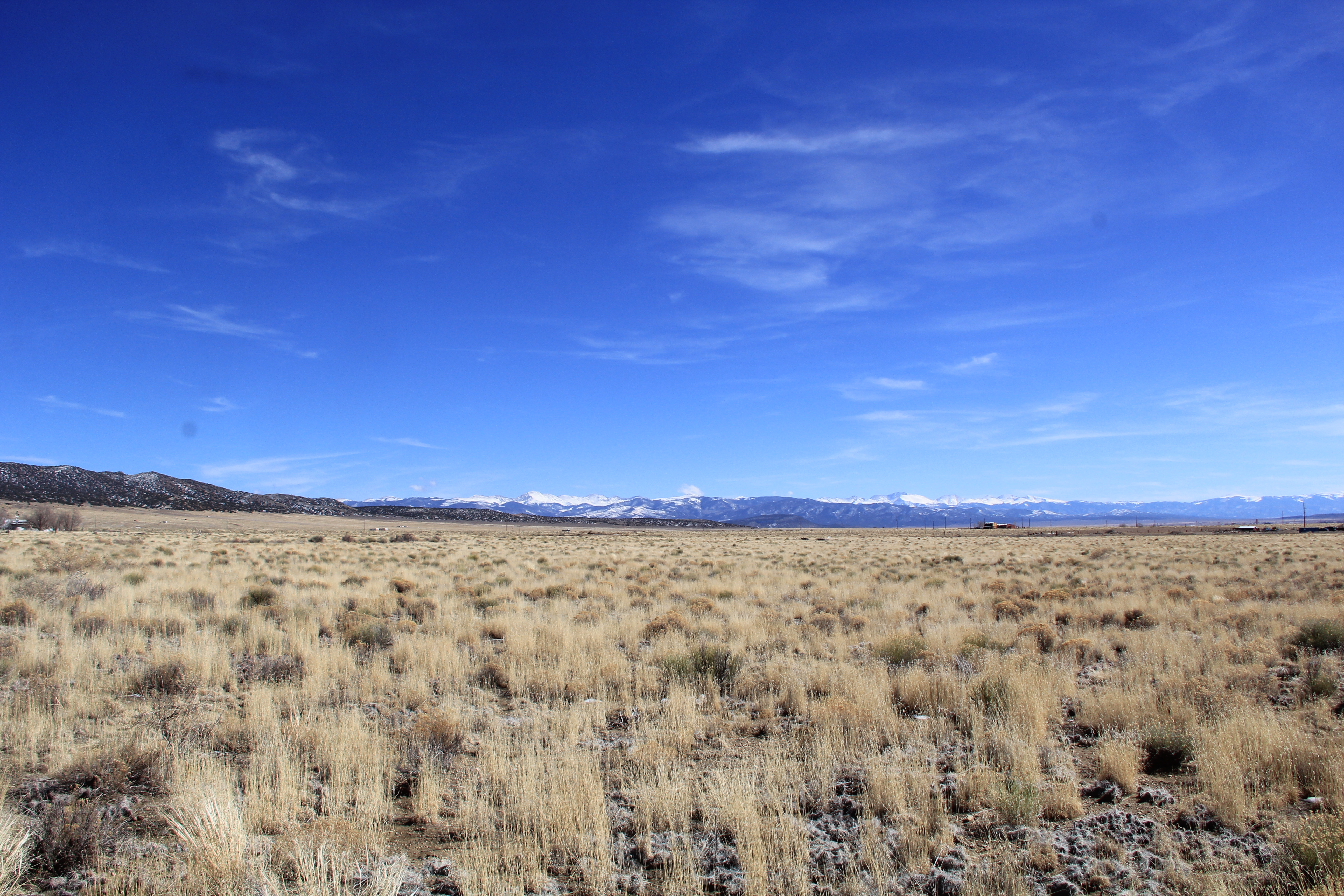 5 Acres of Colorado Mountain Country — Estate Residential Land Near Blanca