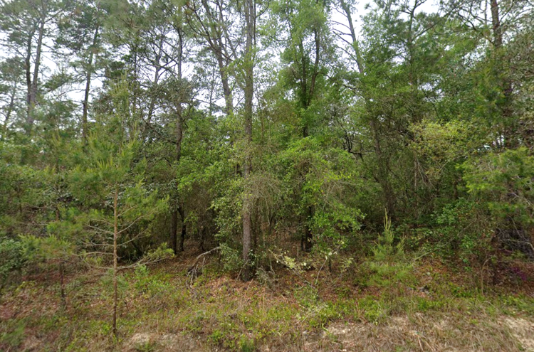 Affordable Florida Land That Fits Your Budget and Your Dreams