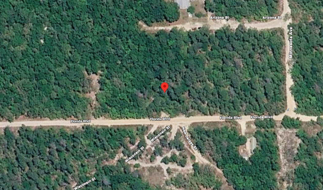 Affordable Florida Land That Fits Your Budget and Your Dreams