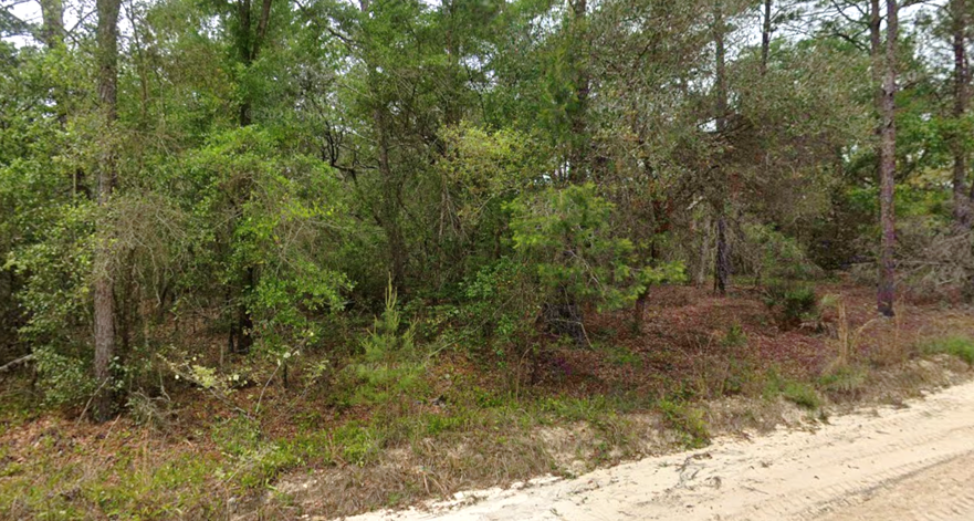 Affordable Florida Land That Fits Your Budget and Your Dreams