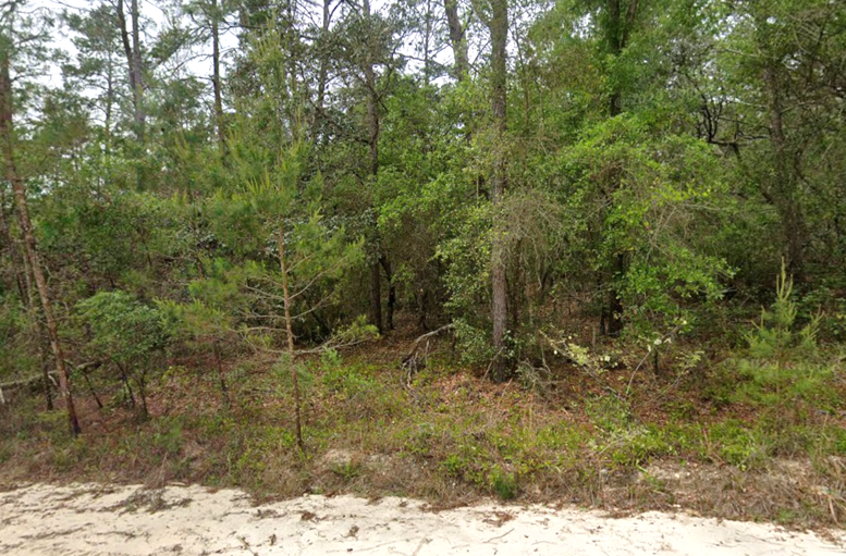 Affordable Florida Land That Fits Your Budget and Your Dreams