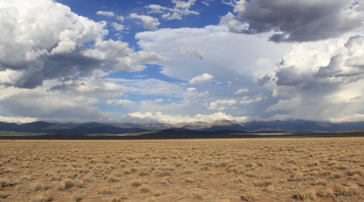 4.88 Acres of Nature - Your Peaceful Outdoor Escape Awaits!