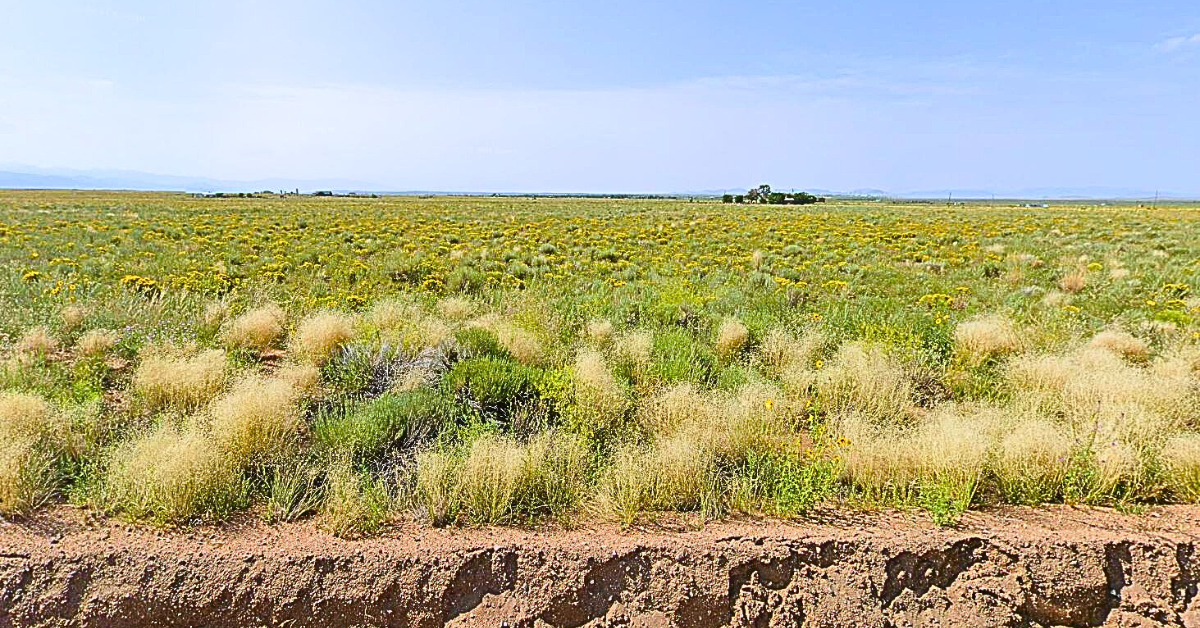 More Land. More Freedom. A Simpler Life in Colorado.