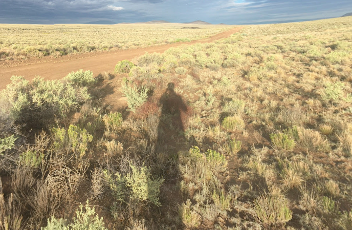 Break Free from the City: 4.52 Acres for Your Off-Grid Dream Just $179/Mo!