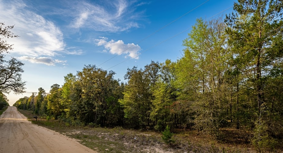 Your Florida Escape Starts Here – Build the Life You've Been Dreaming About
