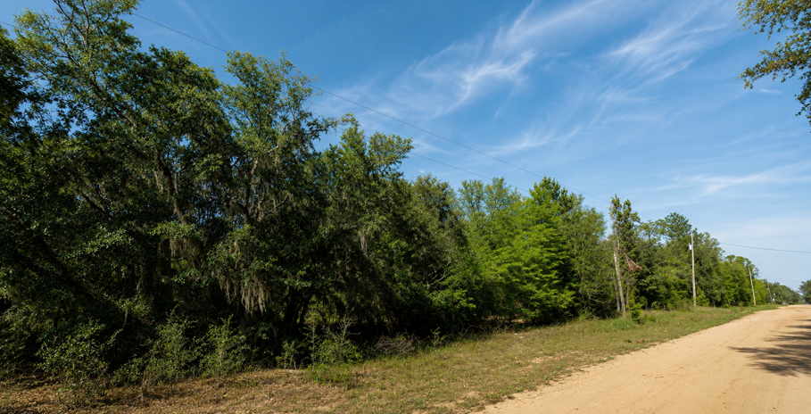 Your Florida Escape Starts Here – Build the Life You've Been Dreaming About