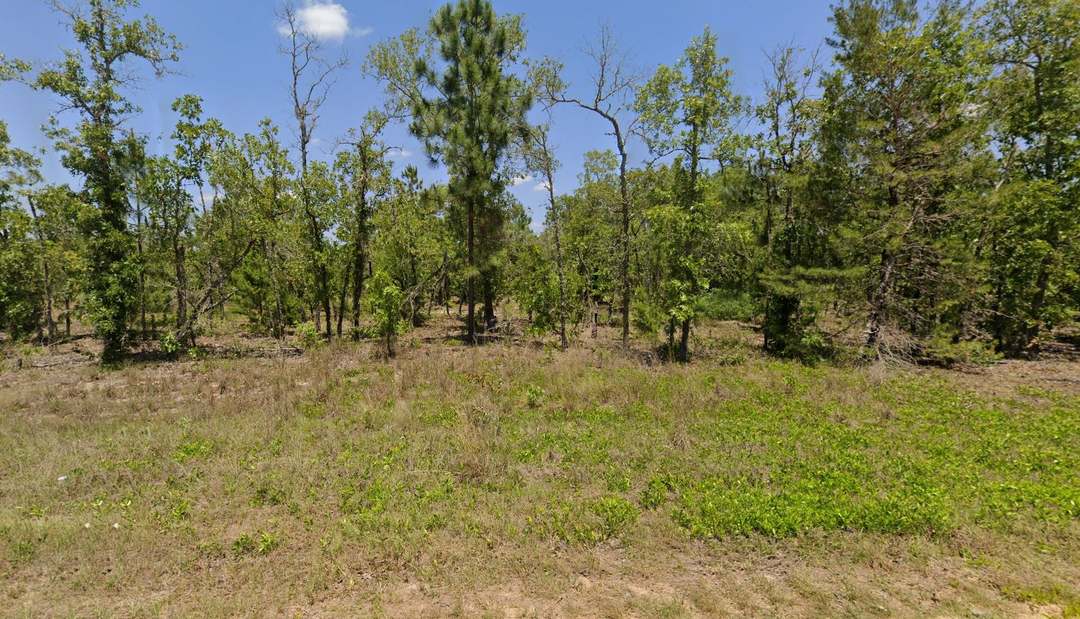 Investor Alert: Profitable FL STR Lot Two-Family Zoning + Power