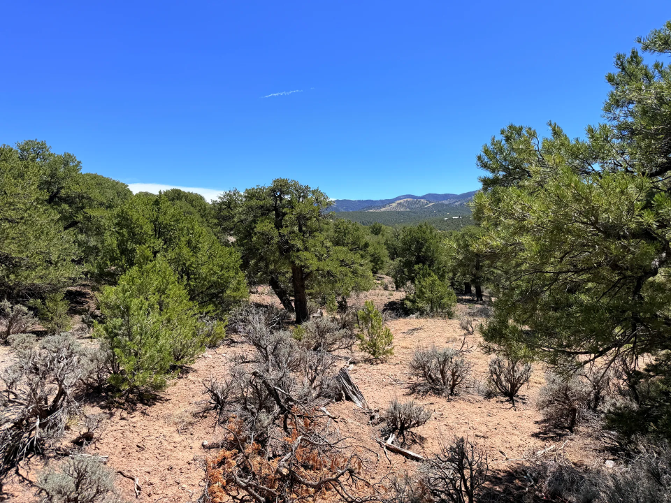 Colorado Mountain Land with Trees — 5.38 Acres | Fort Garland, CO