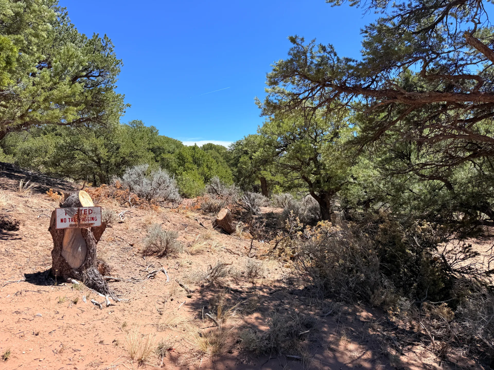 Colorado Mountain Land with Trees — 5.38 Acres | Fort Garland, CO