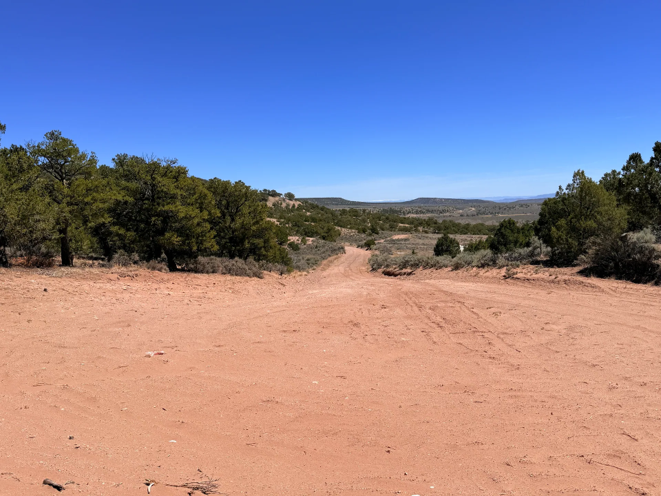 Colorado Mountain Land with Trees — 5.38 Acres | Fort Garland, CO