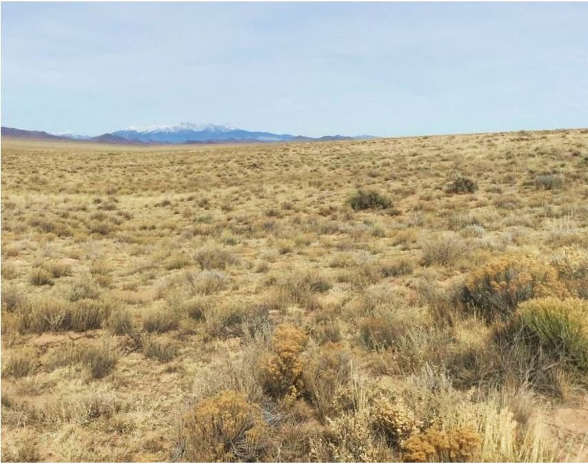 Get 5 Acres in Colorado with 0% Financing at Only $139/Mo or Discounted Cash Price!