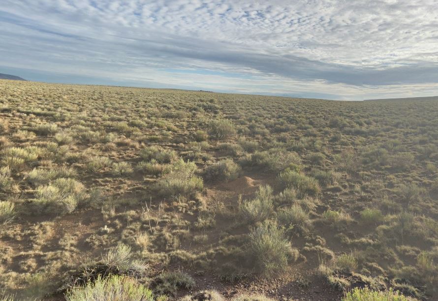 Get 5 Acres in Colorado with 0% Financing at Only $139/Mo or Discounted Cash Price!