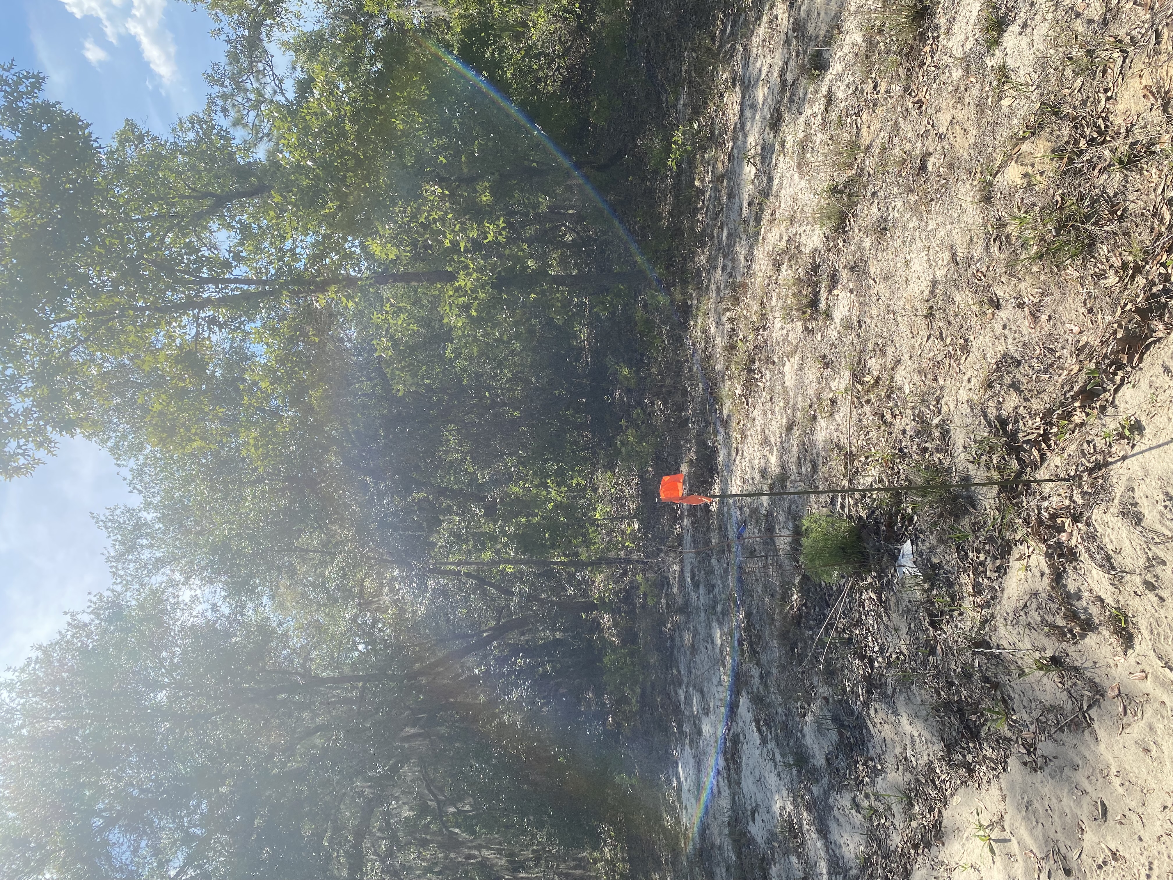 0.22 Acres in Interlachen, FL Build or Bring Your Mobile Home!