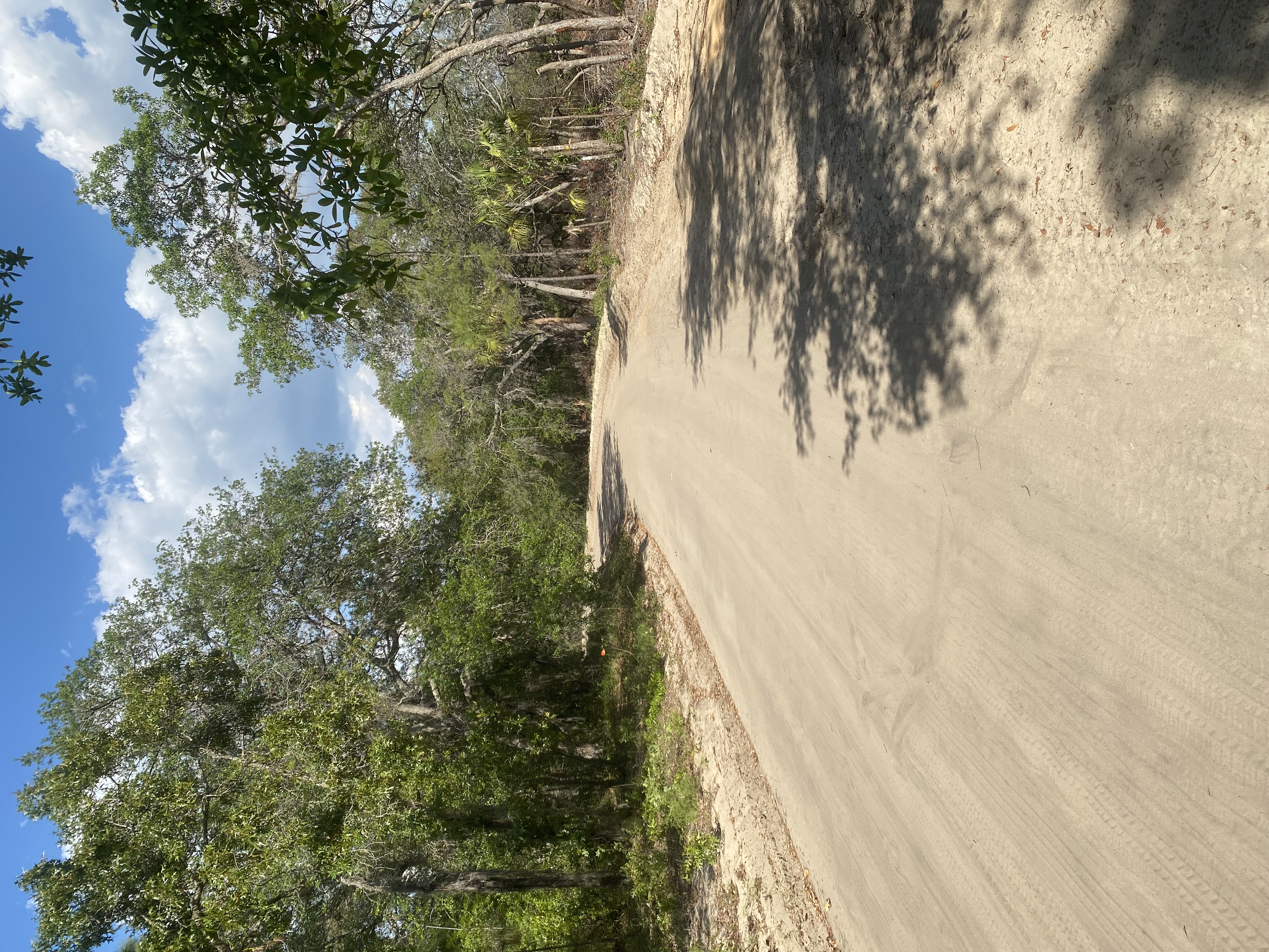 0.22 Acres in Interlachen, FL Build or Bring Your Mobile Home!