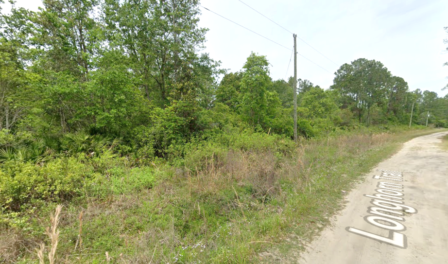 Build Bigger Dreams on This Spacious Florida Homesite