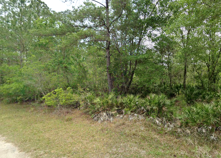 Build Bigger Dreams on This Spacious Florida Homesite