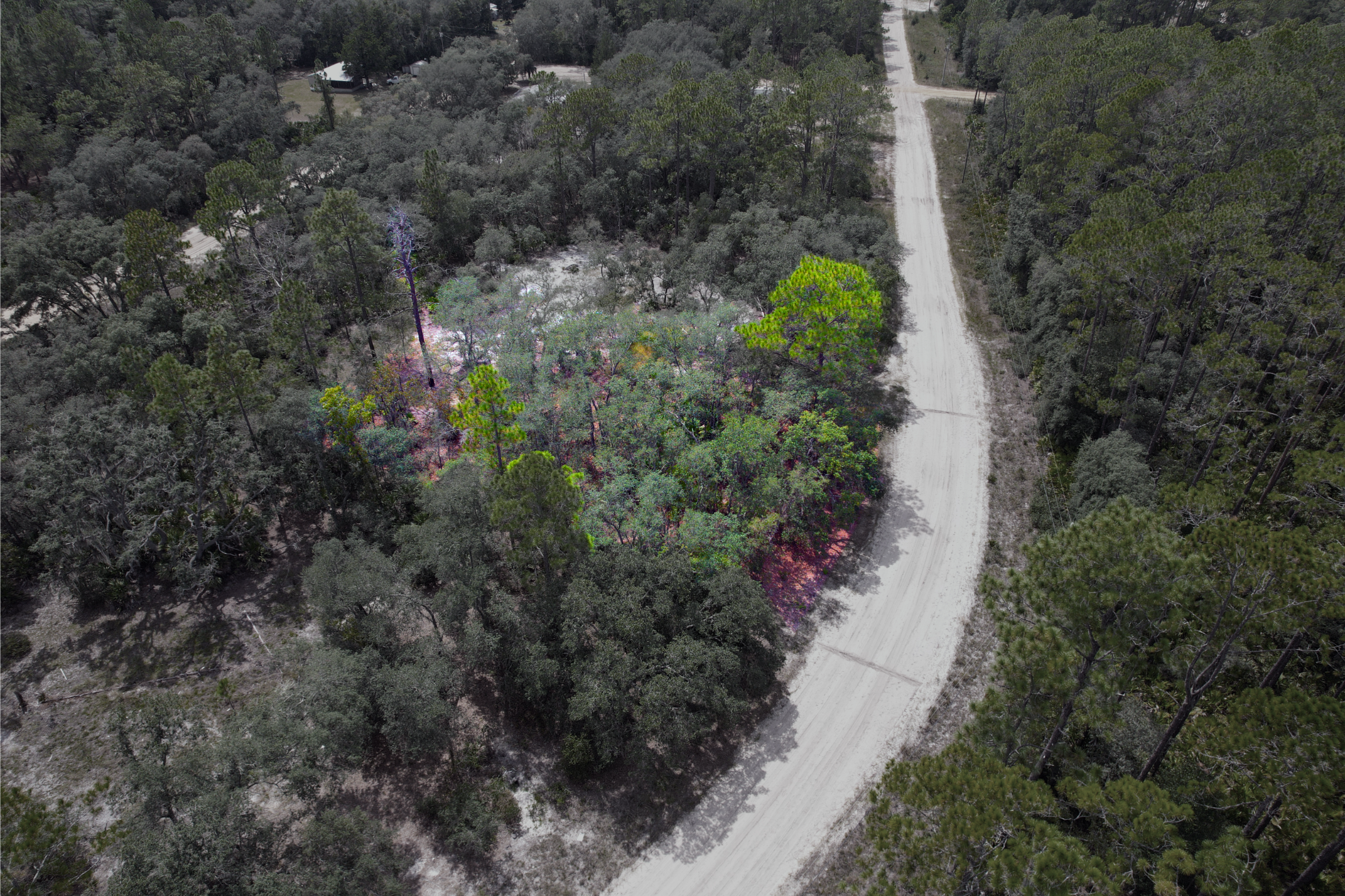 Flip the Script on Inflation: 0.25Ac of Prime FL Land Power, Road, No HOA!