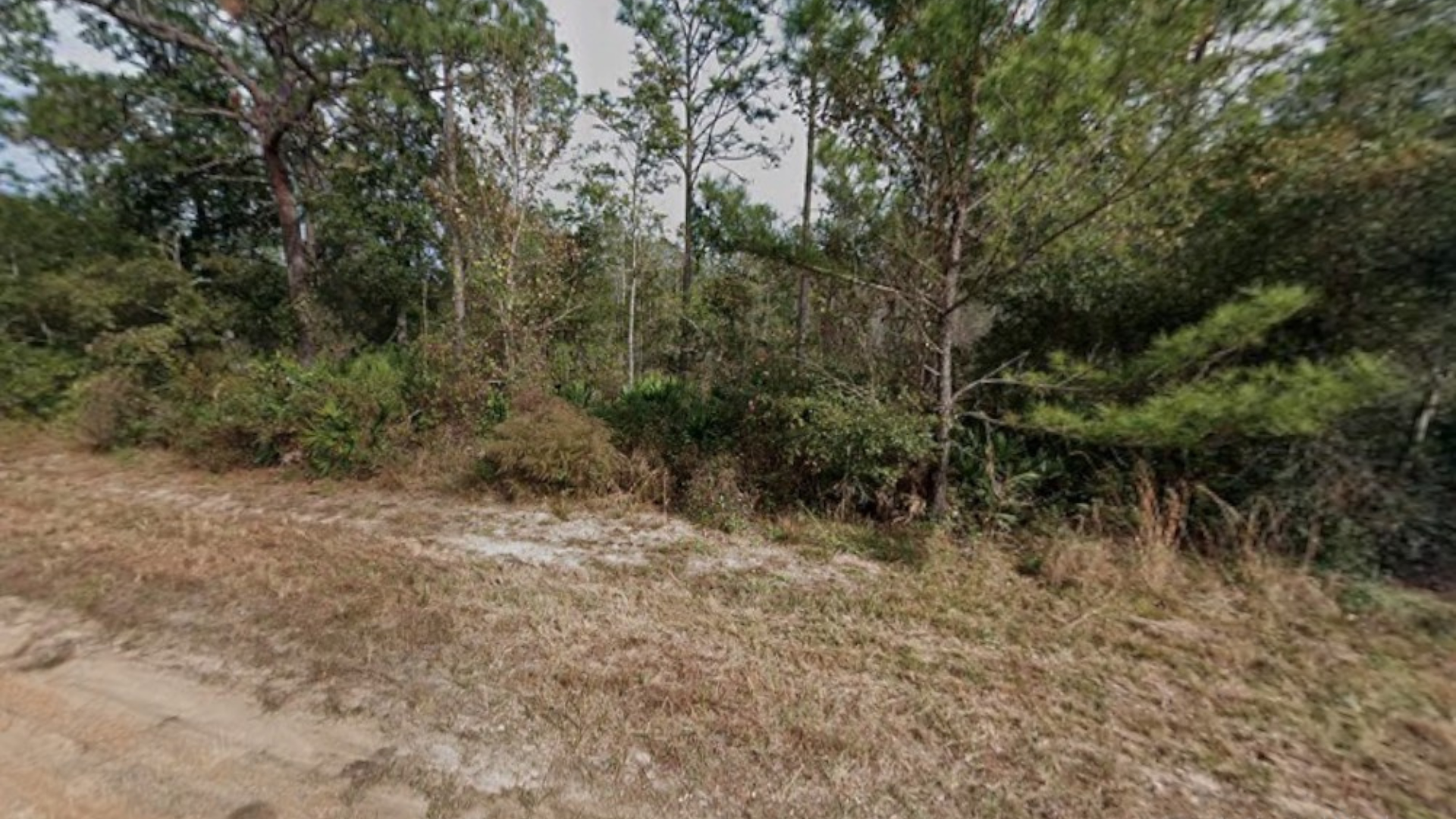 0.21 Acres for Sale in Interlachen, Florida