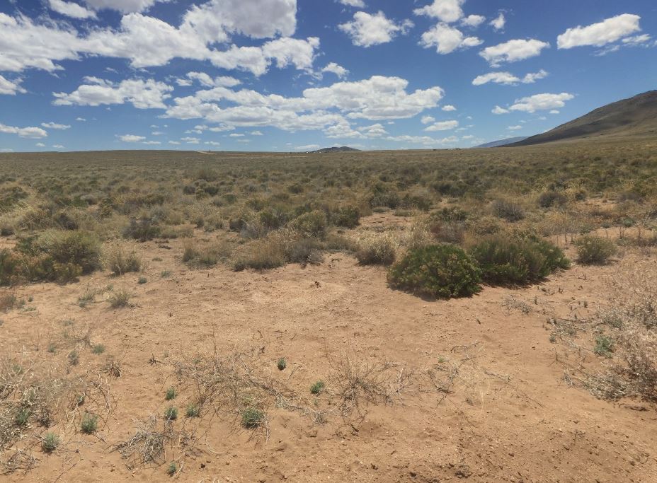 Owner Financing Available from $139/Month; Build, Camp, or Invest on 5 Acres in Colorado!
