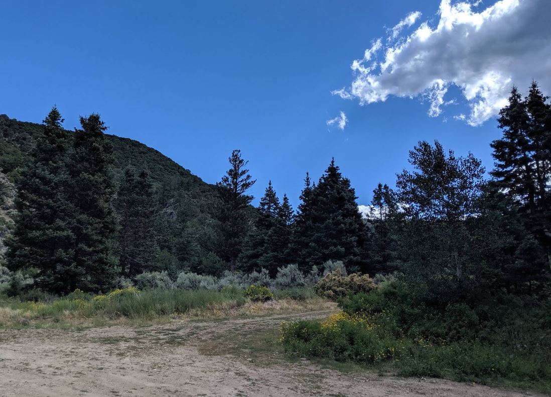 Owner Financing Available from $139/Month; Build, Camp, or Invest on 5 Acres in Colorado!