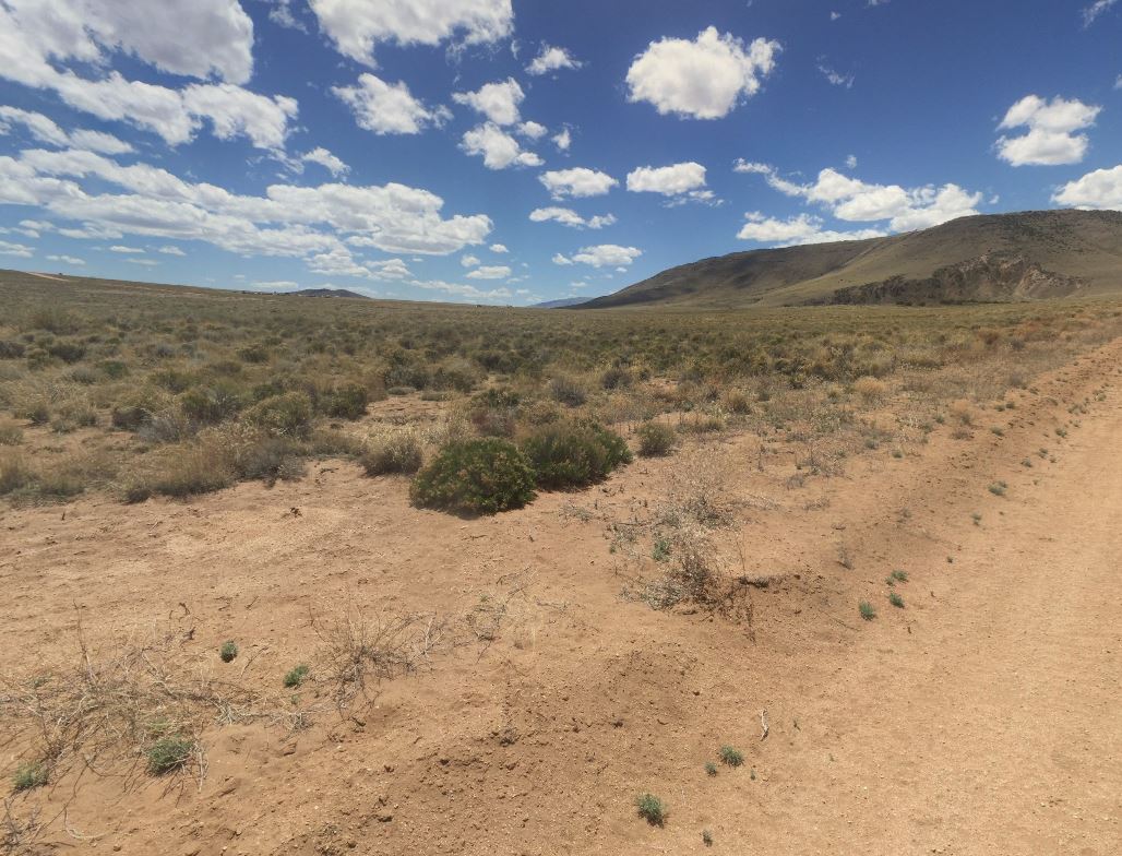 Final Easter Offer: Secure 5 Acres in Colorado Today with $0 Down!