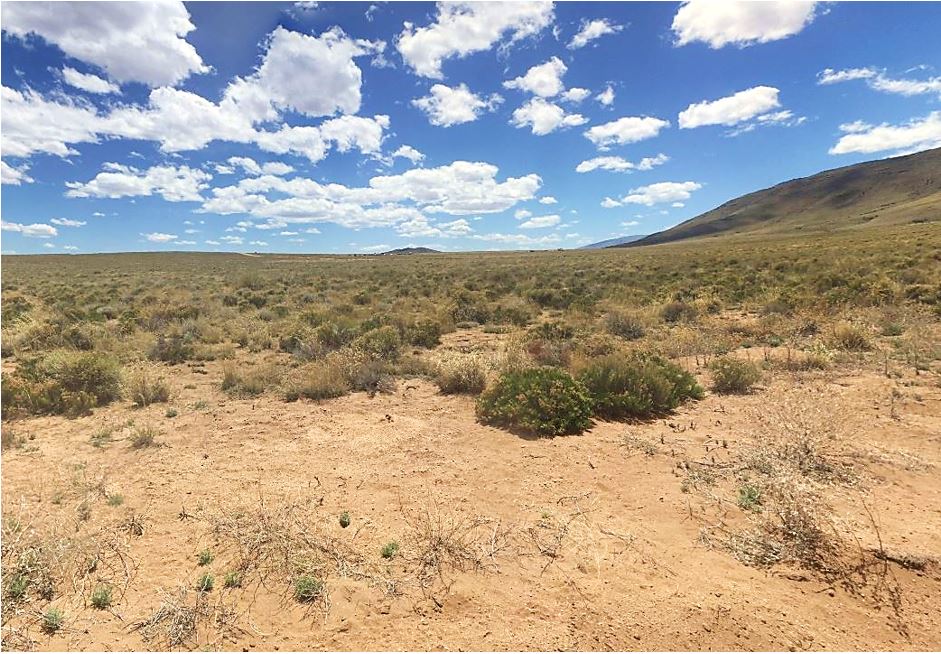 Final Easter Offer: Secure 5 Acres in Colorado Today with $0 Down!