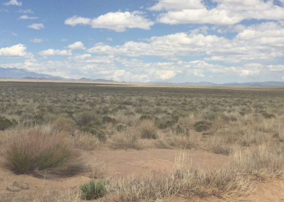 Final Easter Offer: Secure 5 Acres in Colorado Today with $0 Down!