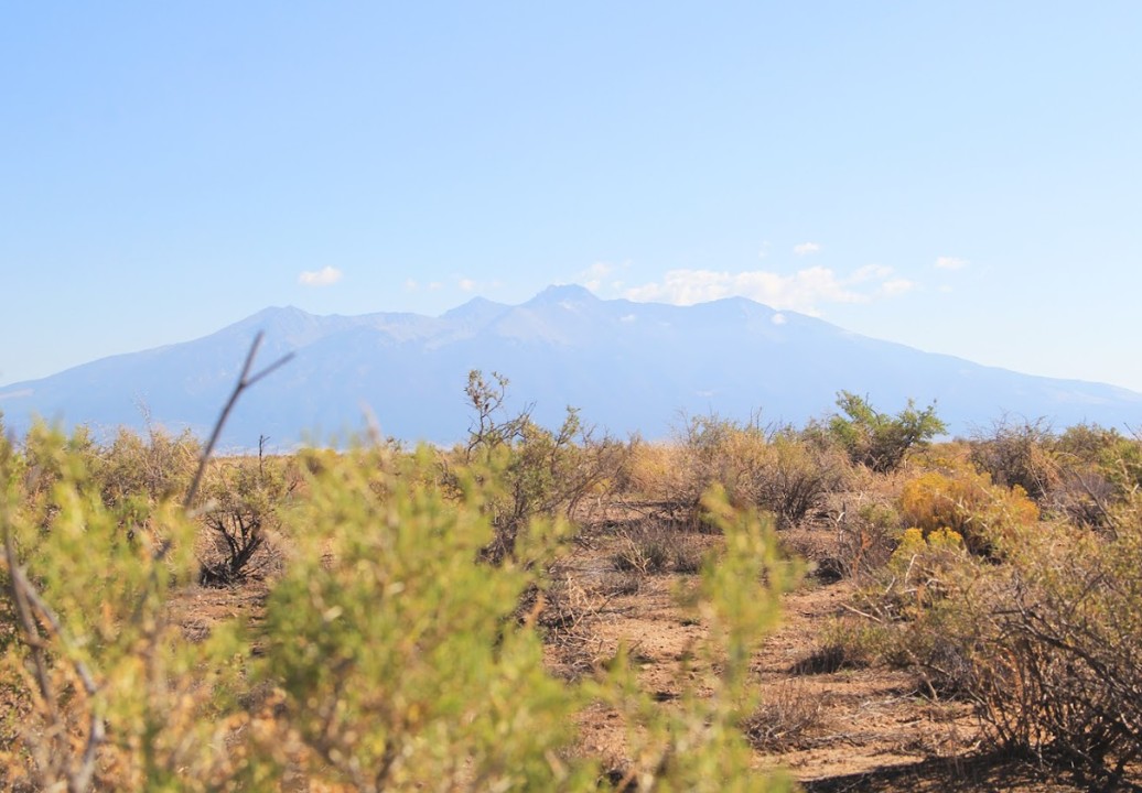 5 Acres in Costilla County Won’t Last Long!