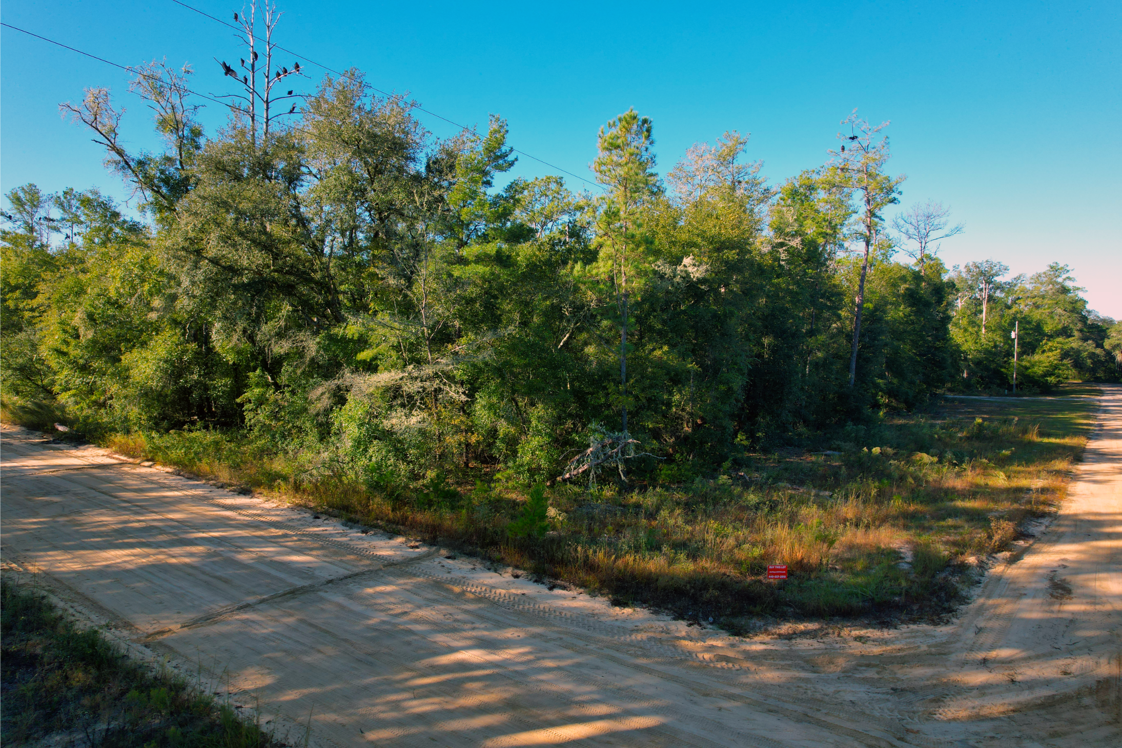 What Would You Do With 0.22 Acres & No HOA in FL?
