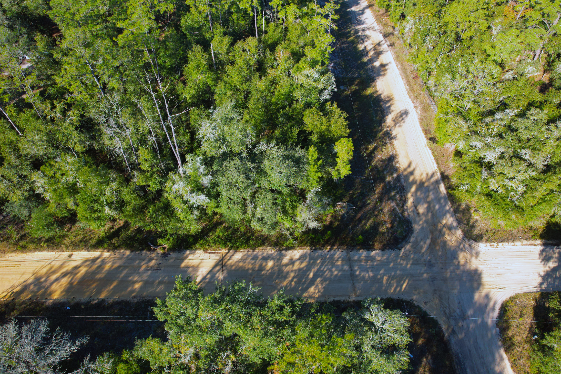 What Would You Do With 0.22 Acres & No HOA in FL?
