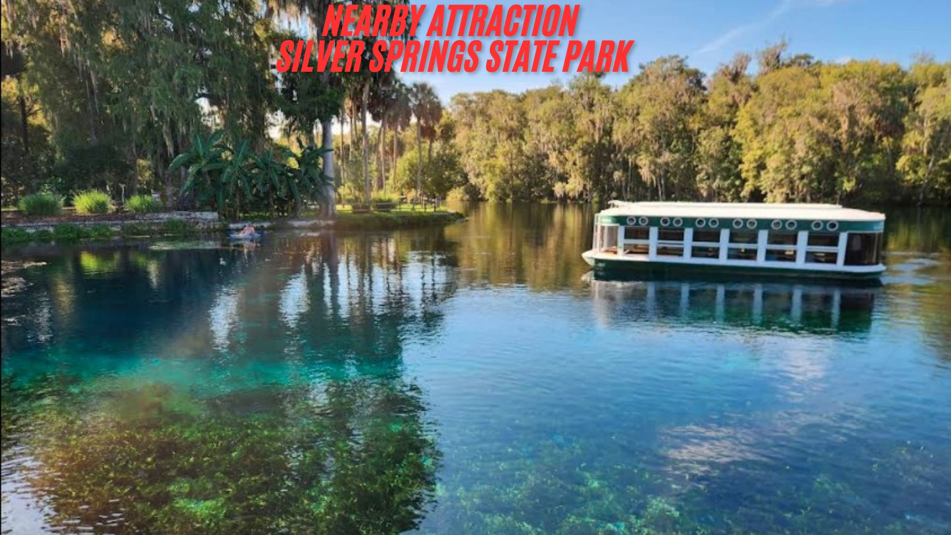 Before You Scroll Past... Could This Be the Cheapest Way to Own Putnam, FL Land? 0.23 Acres 199/MO!