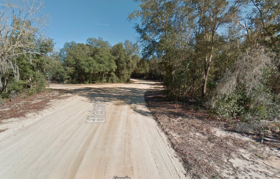 Before You Scroll Past... Could This Be the Cheapest Way to Own Putnam, FL Land? 0.23 Acres 199/MO!