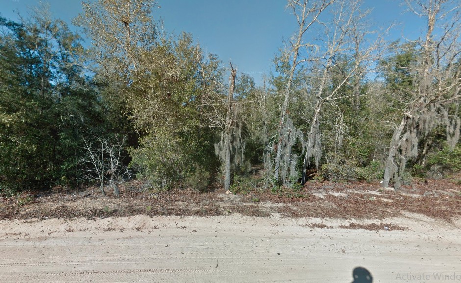 Before You Scroll Past... Could This Be the Cheapest Way to Own Putnam, FL Land? 0.23 Acres 199/MO!