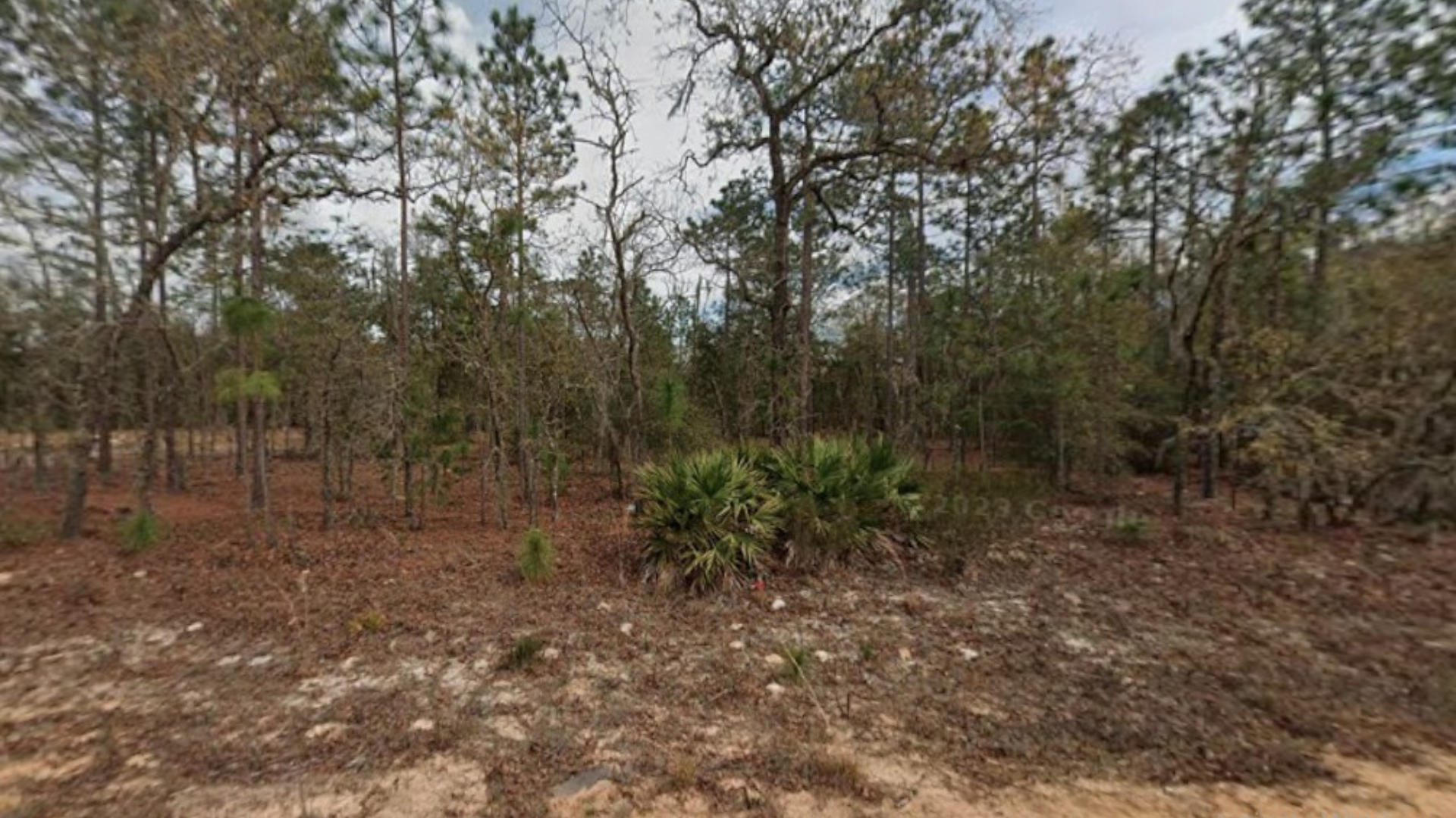 0.21 Acres for Sale in Interlachen, Florida