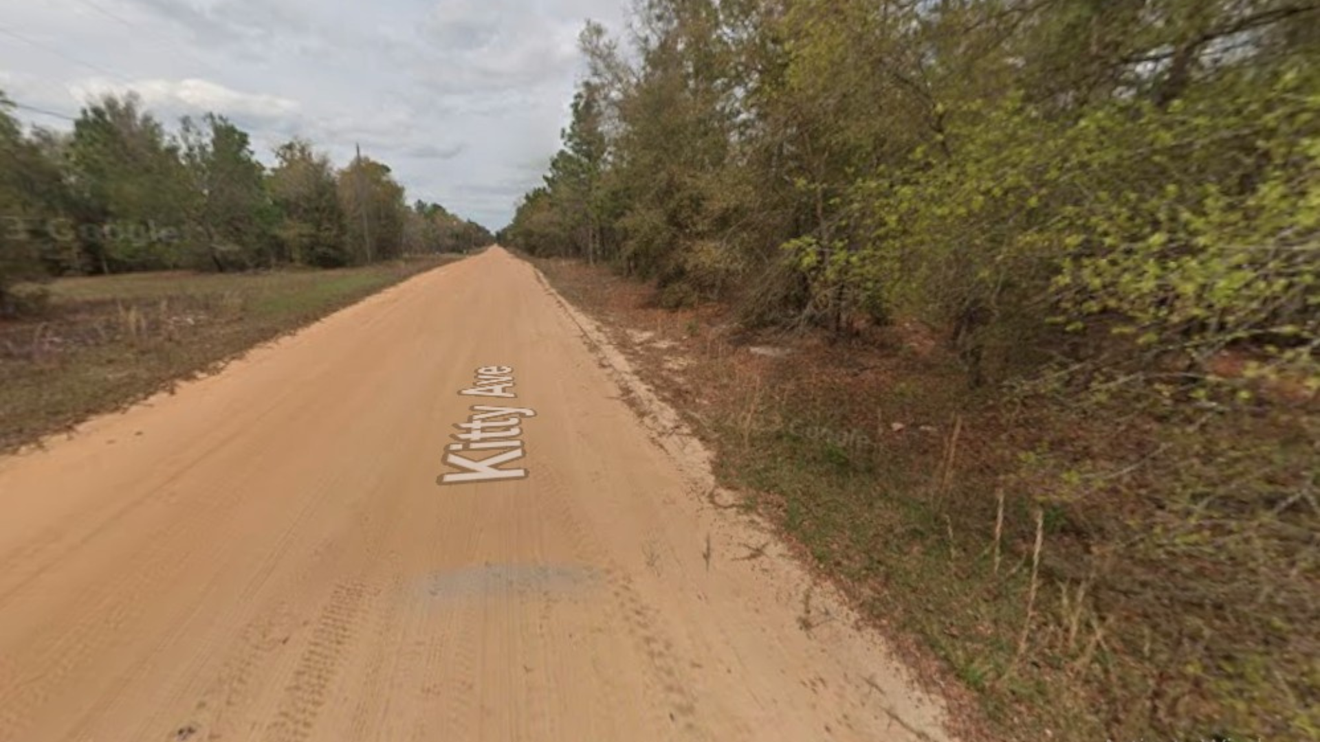 0.21 Acres for Sale in Interlachen, Florida