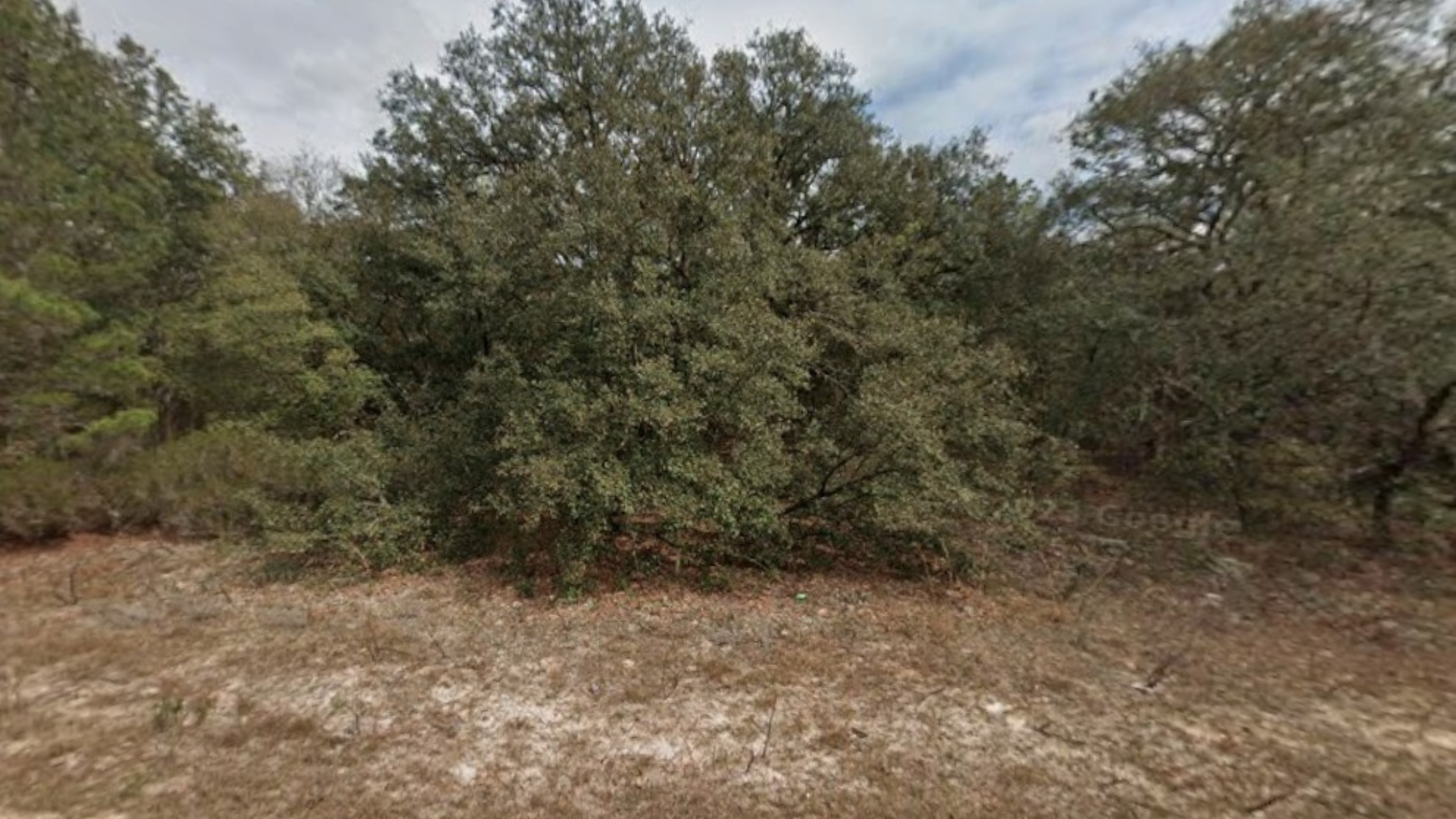 0.21 Acres for Sale in Interlachen, Florida