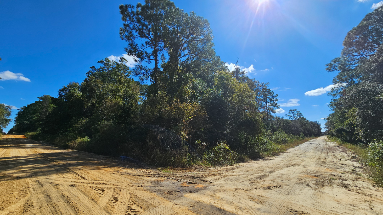 Florida Goldmine: Turn $100 Down Into Passive Income