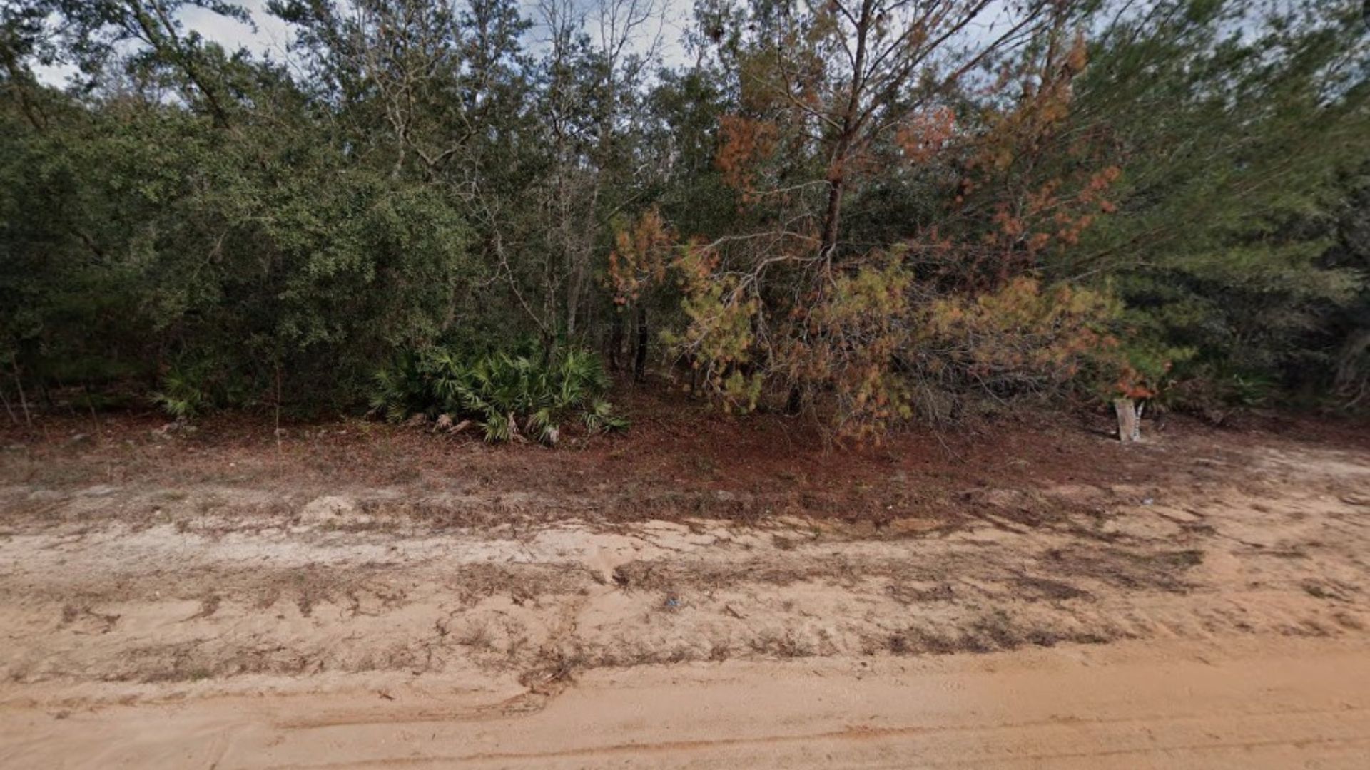Sweet Deal! 0.22 Acres in Putnam, FL $199/MO! Owner Financing Available!