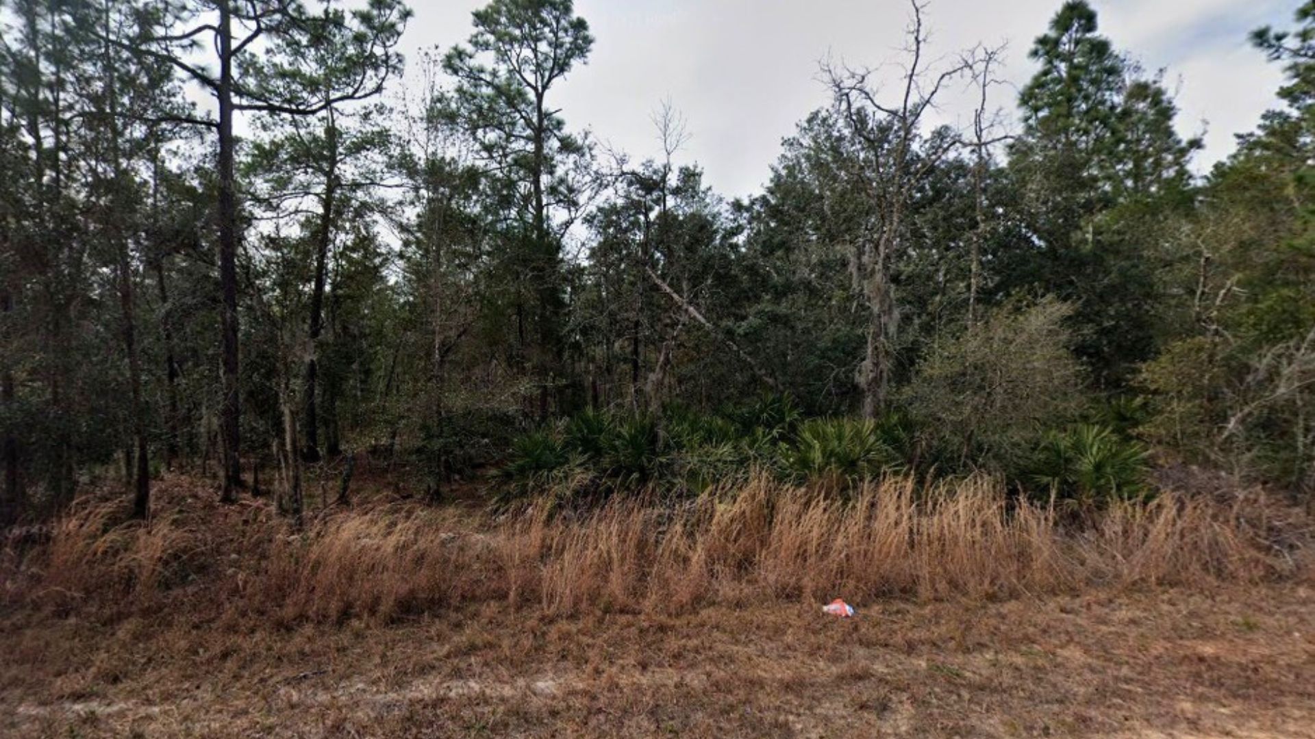 Sweet Deal! 0.22 Acres in Putnam, FL $199/MO! Owner Financing Available!