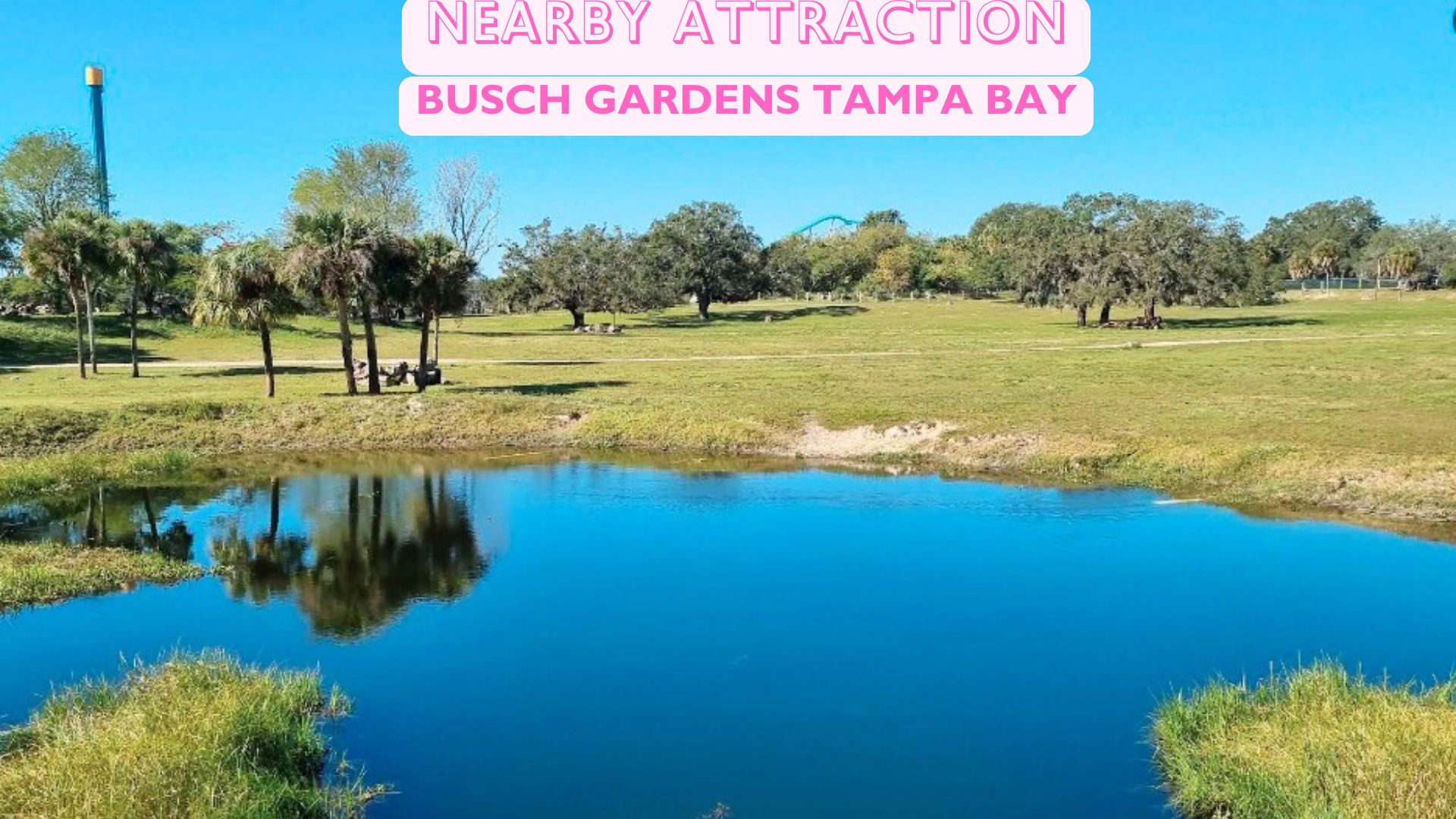 Sweet Deal! 0.22 Acres in Putnam, FL $199/MO! Owner Financing Available!