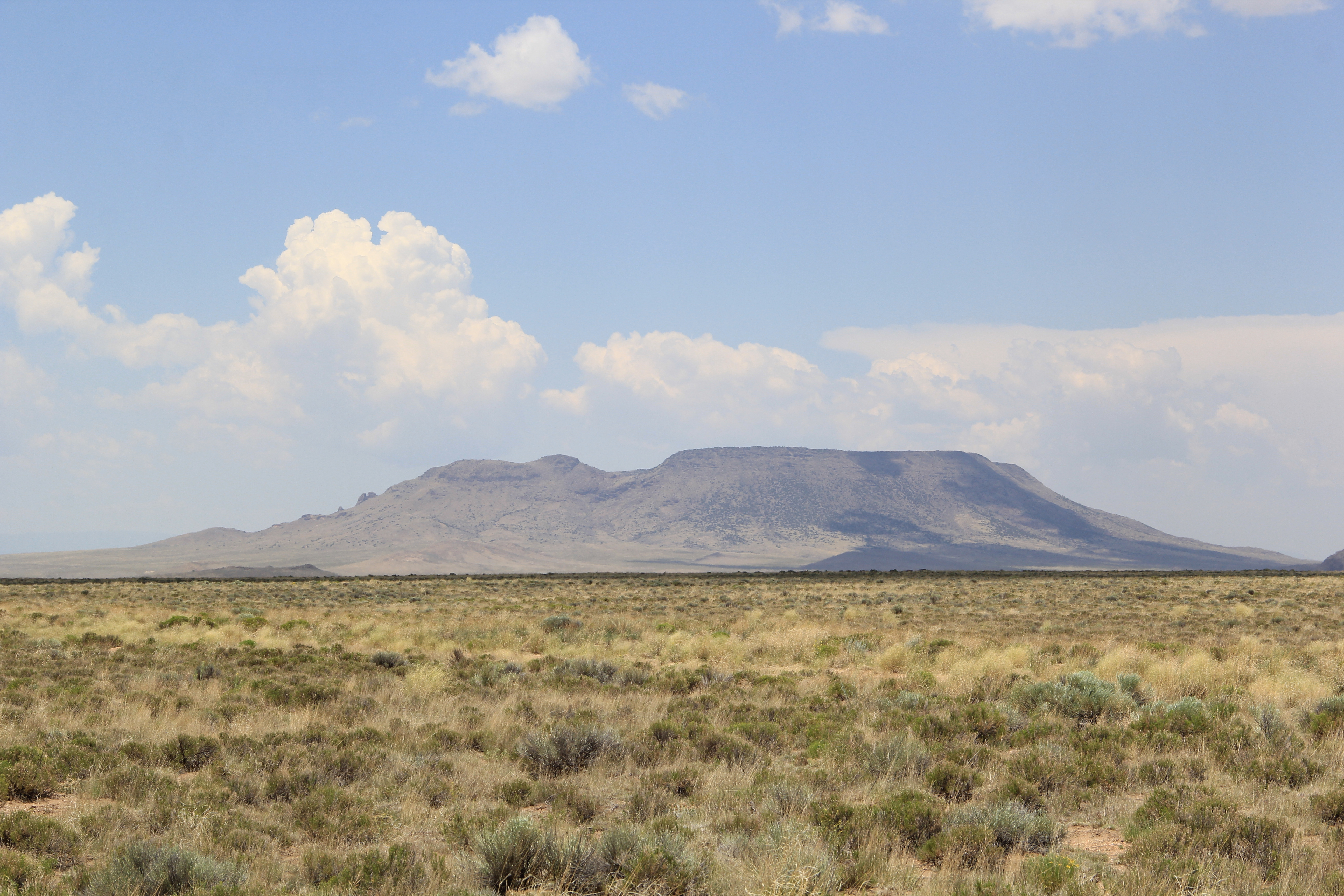 Own 5 Acres Near the Rio Grande, $129/Mo!