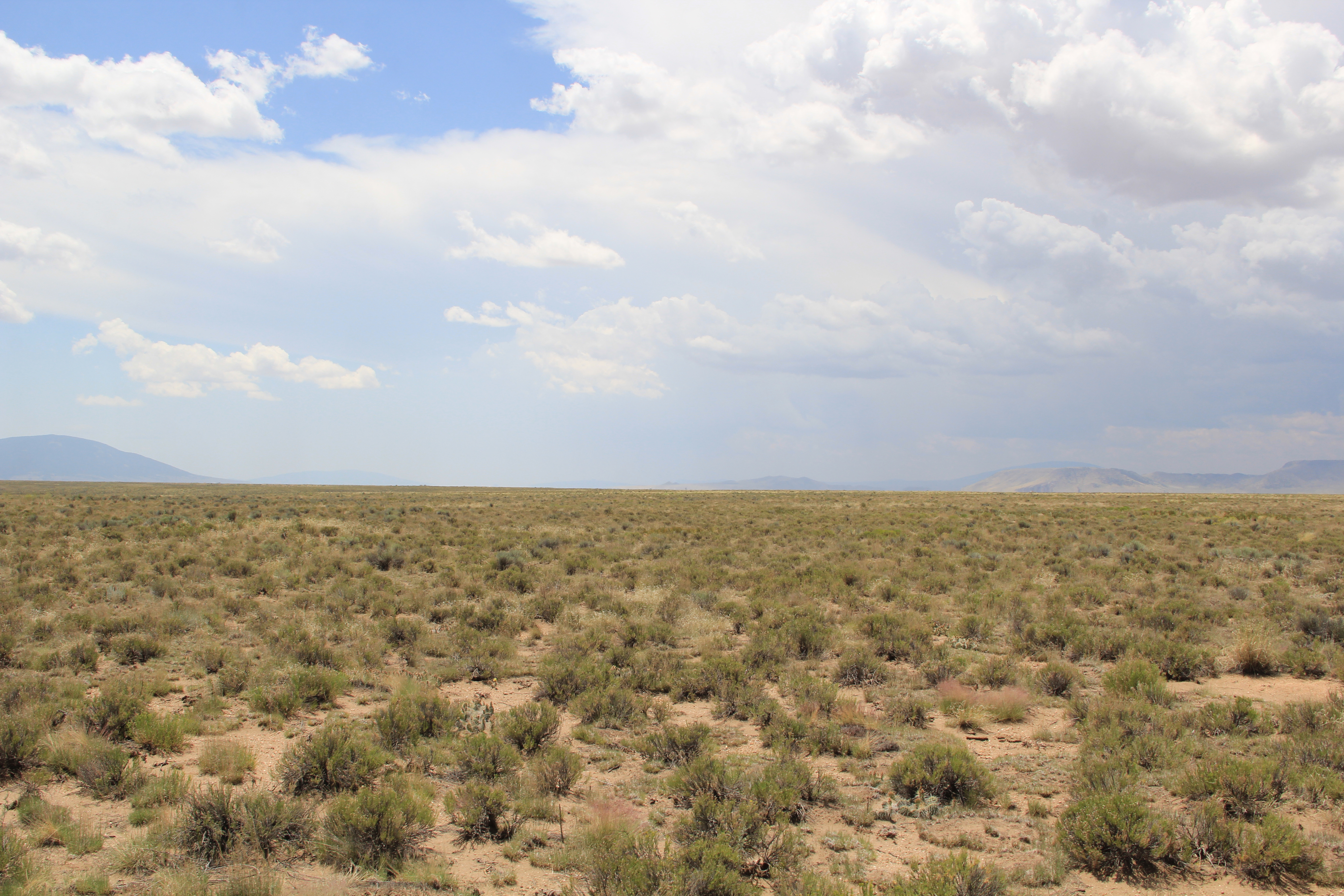 Own 5 Acres Near the Rio Grande, $129/Mo!
