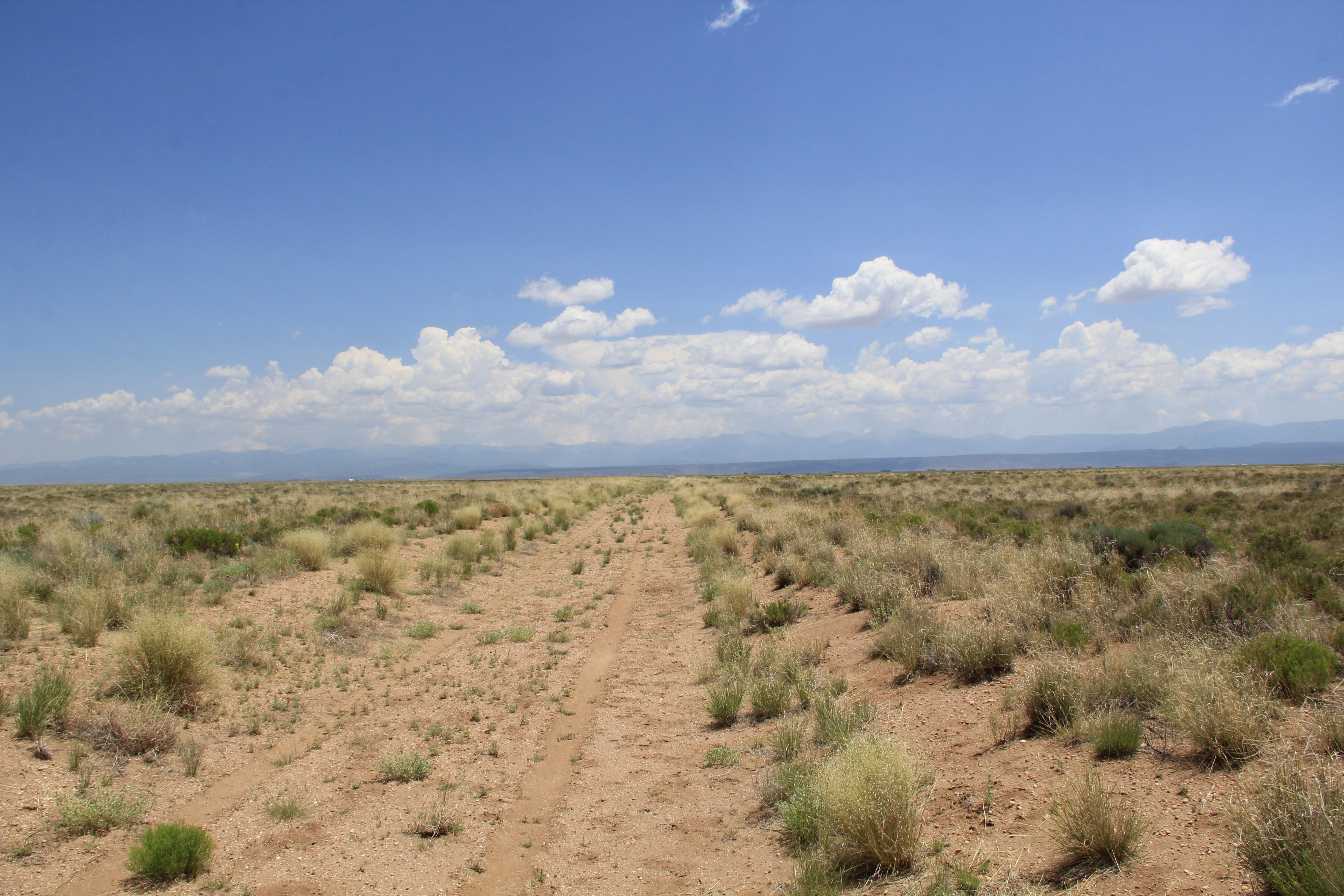 Own 5 Acres Near the Rio Grande, $129/Mo!