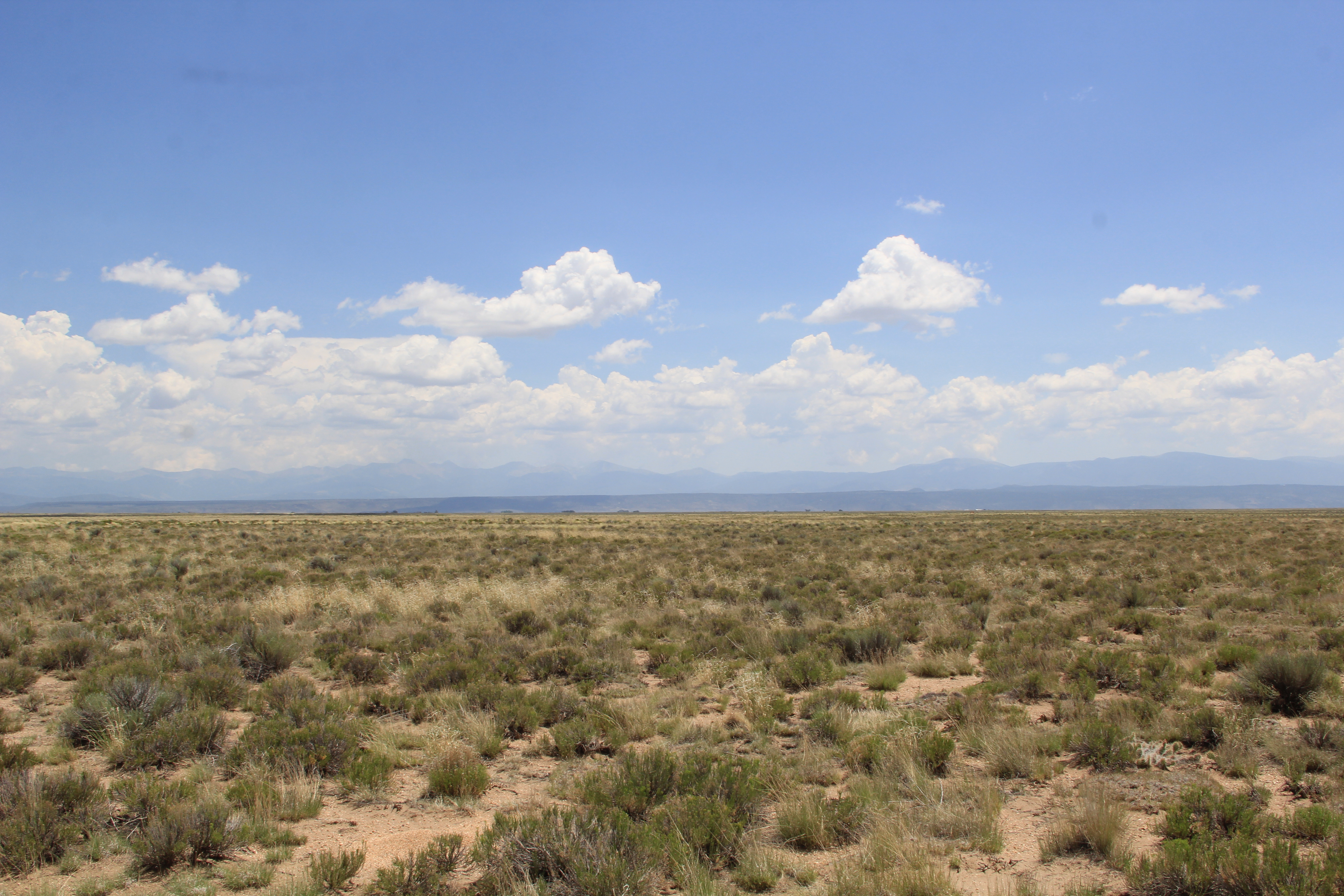Own 5 Acres Near the Rio Grande, $129/Mo!
