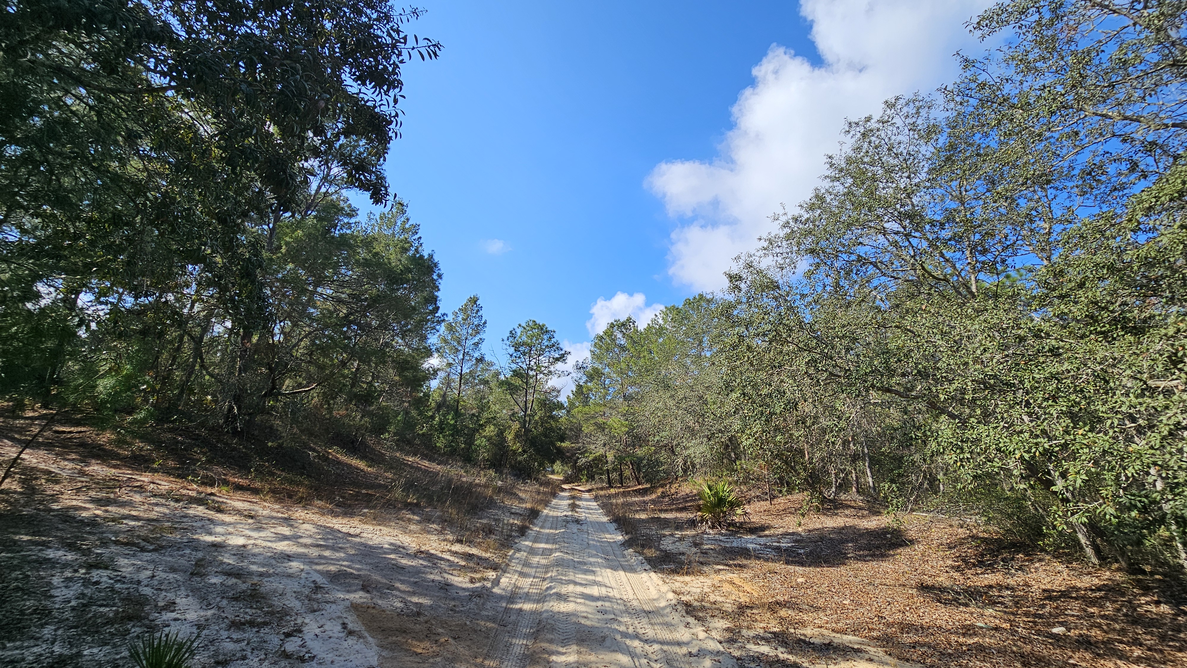 0.25 Acres in Putnam, FL 6 mins from Satsuma! $223/Mo