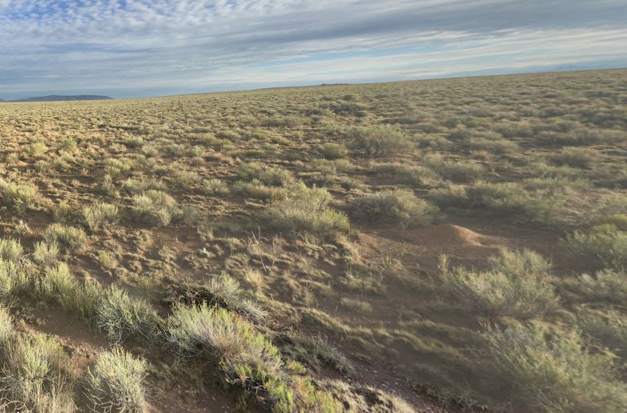 Act Fast! Make Colorado Yours with Financing for 4.75 Acres at Just $179/Mo!
