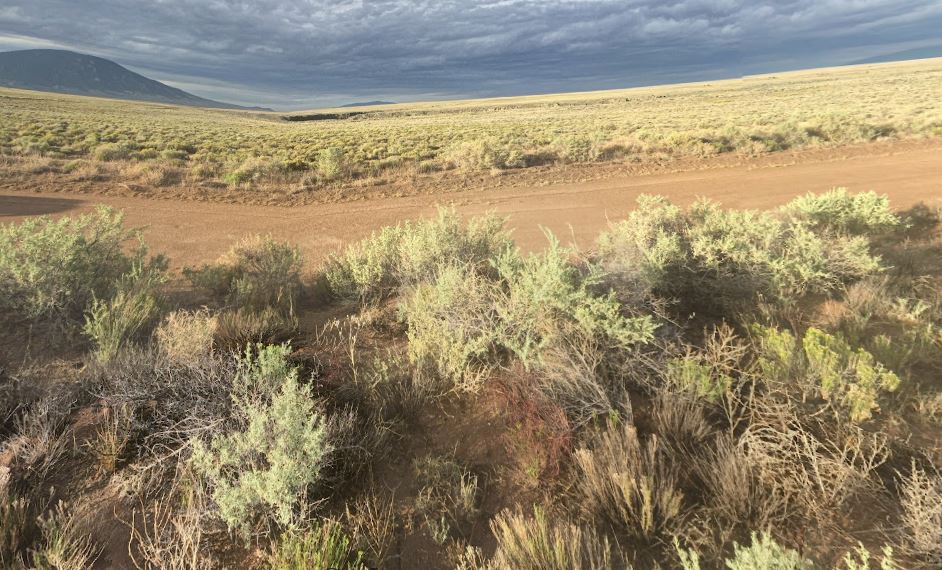 Act Fast! Make Colorado Yours with Financing for 4.75 Acres at Just $179/Mo!