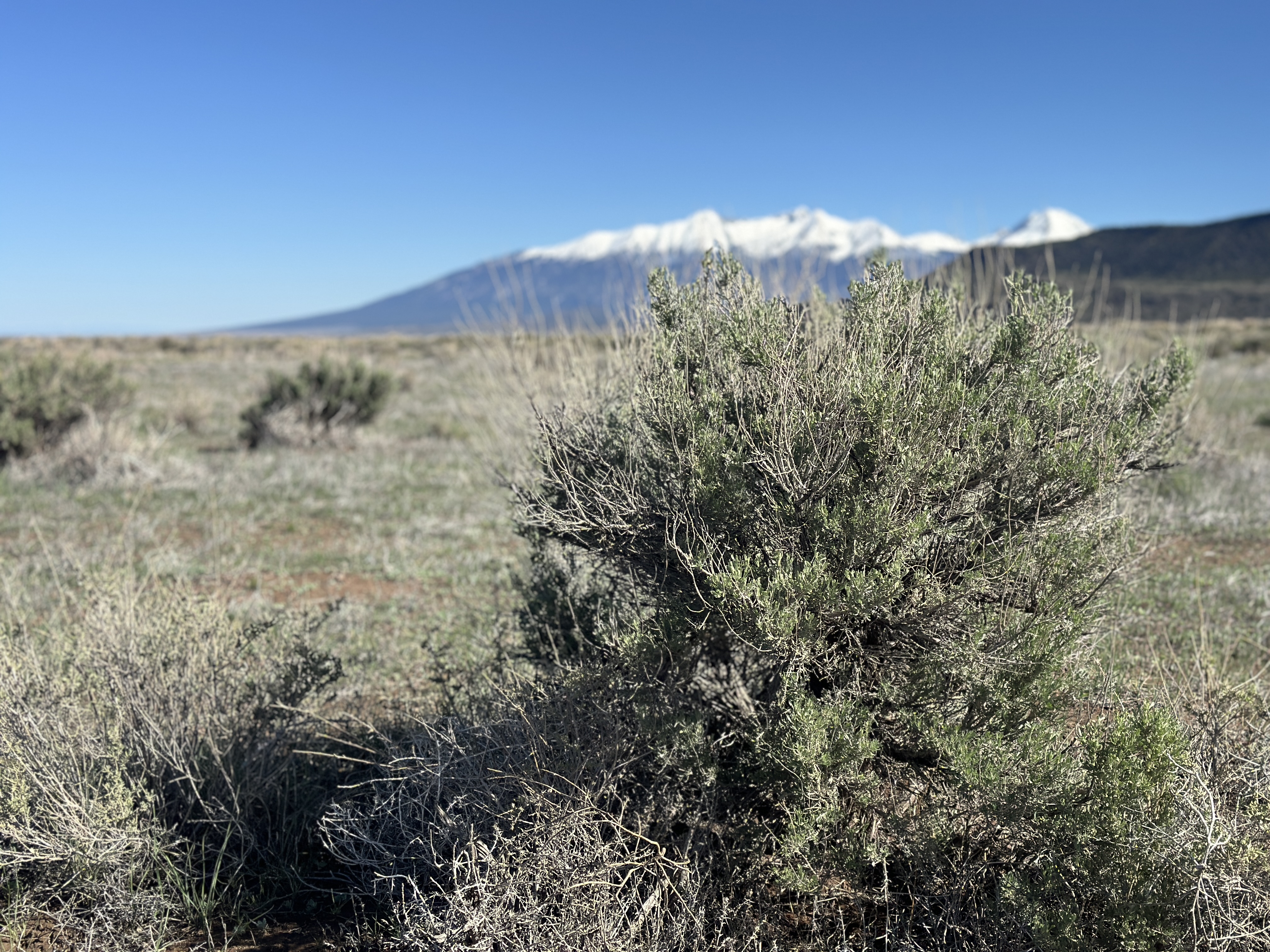 4.55 Acres in Costilla County, CO – Mountain Views, Power Access & Adventure Nearby!