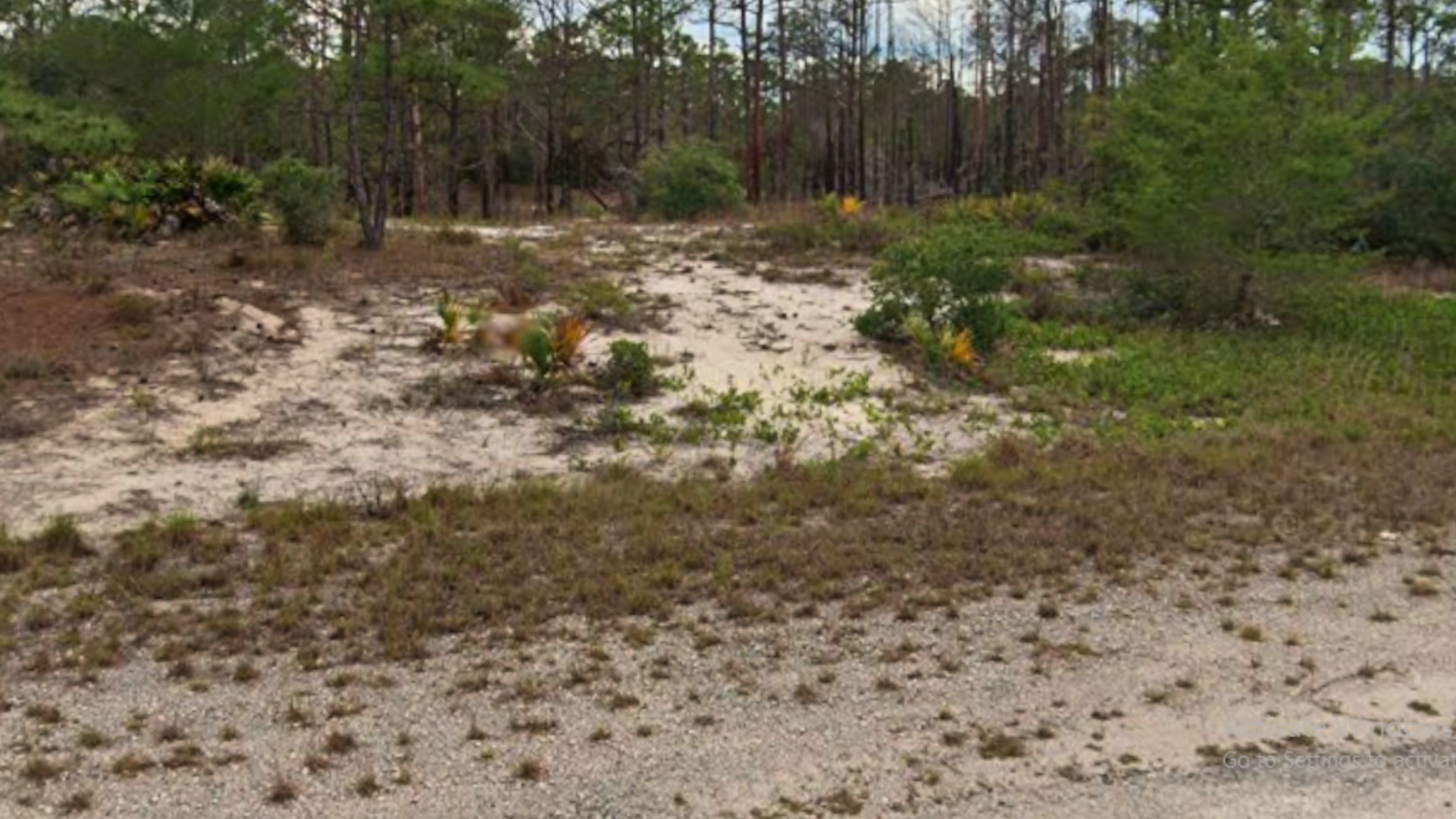 Ideal 0.23 Acre Plot for Your Building Dreams in Putnam, FL! $199/MO!