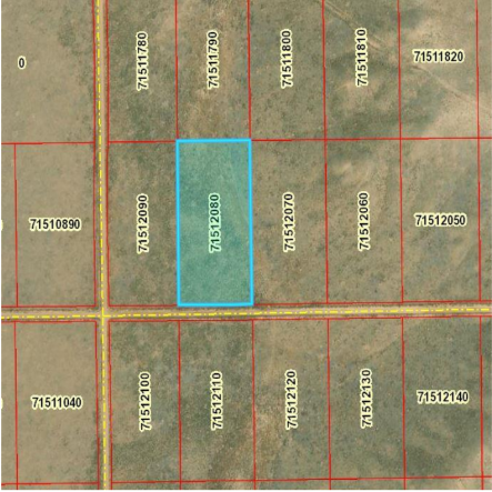 Affordable 5 Acres in Costilla Colorado, Owner Financing Available at $195/Mo!